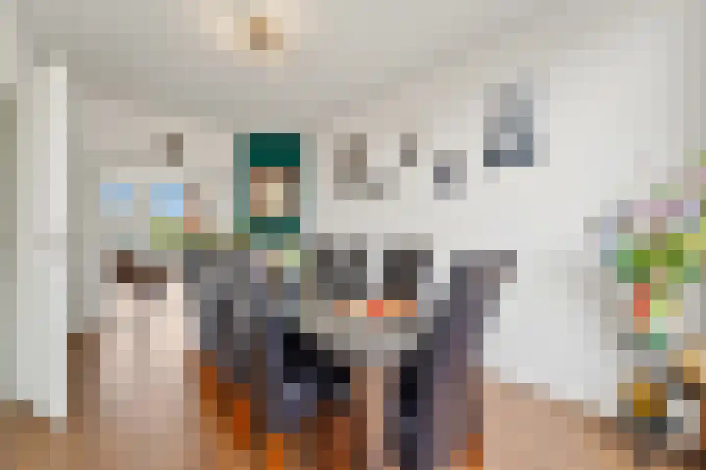 Soestdijksekade 442 Den Haag thumbnail 15