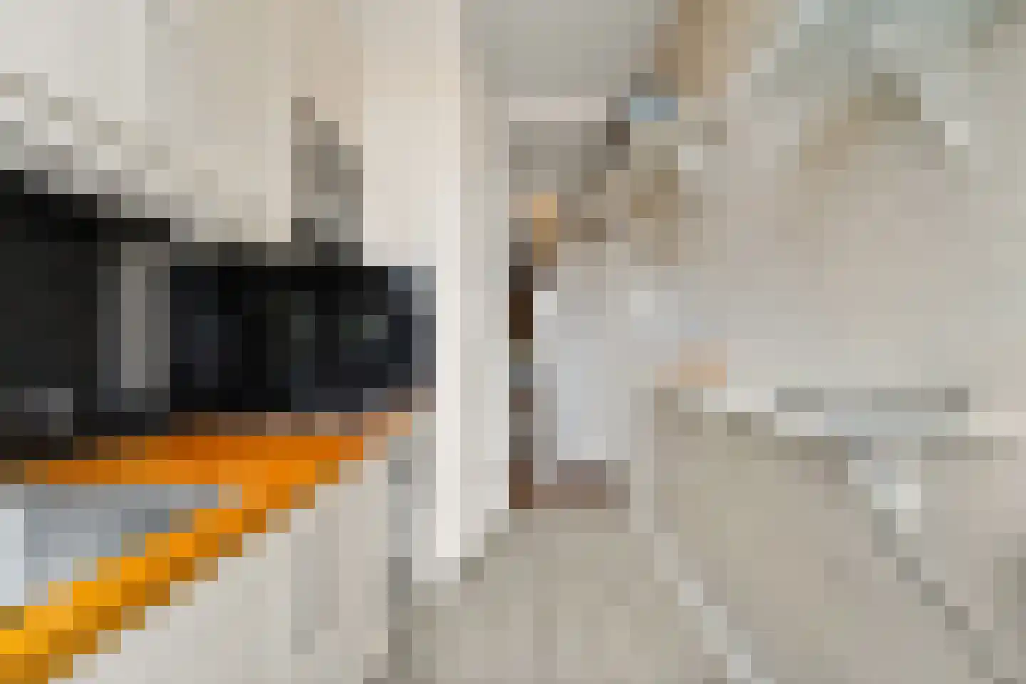 Soestdijksekade 442 Den Haag thumbnail 16