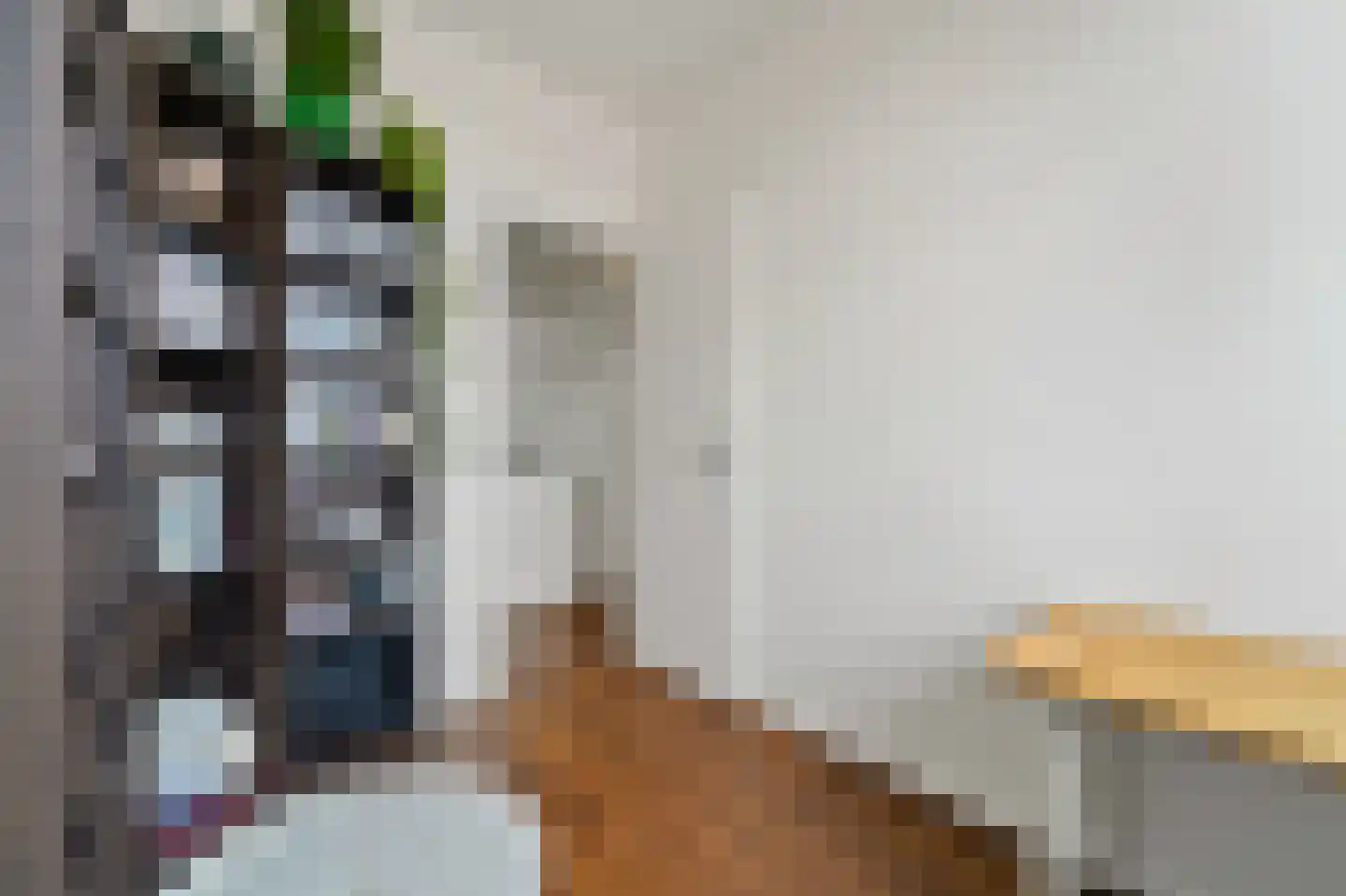 Soestdijksekade 442 Den Haag thumbnail 20