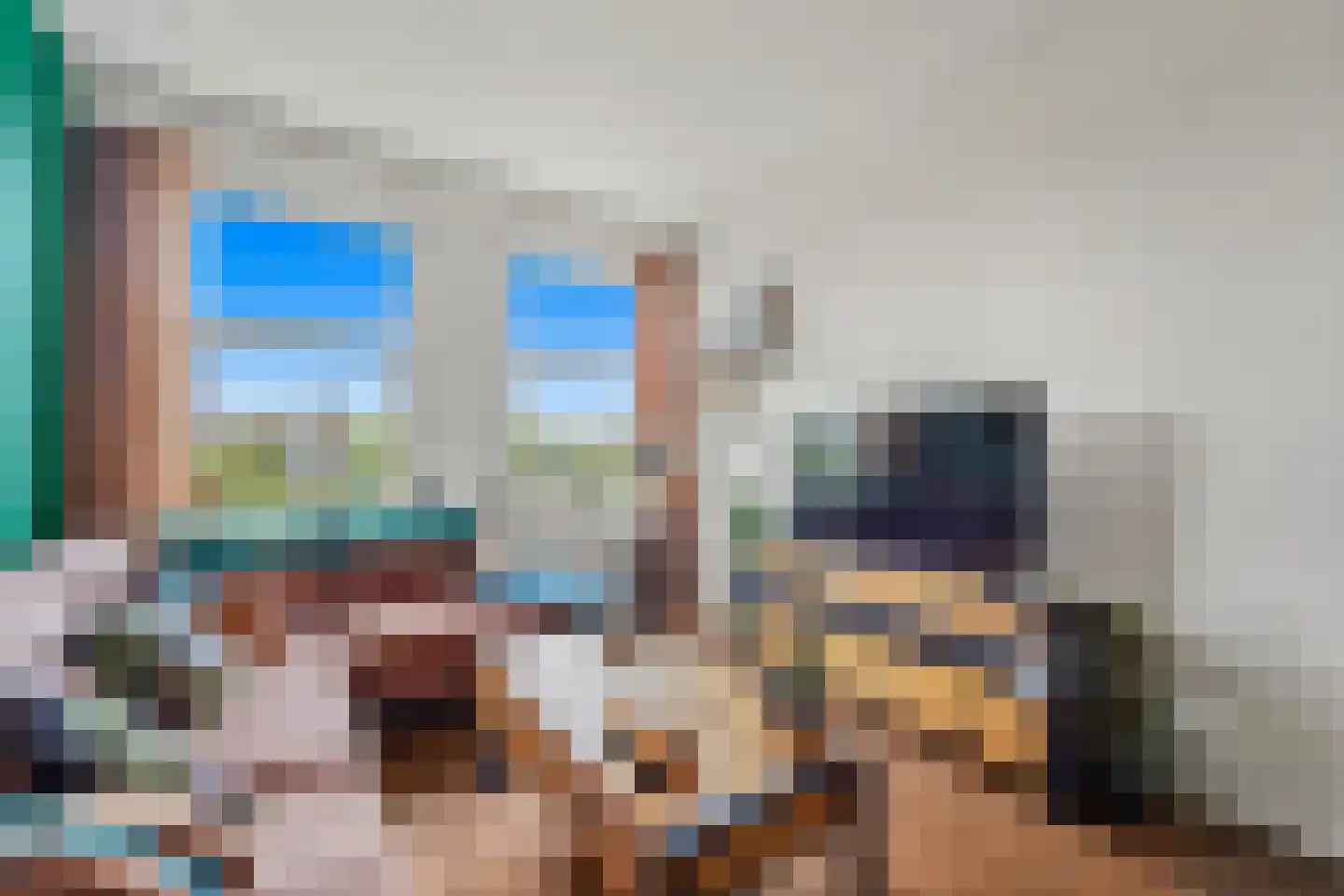 Soestdijksekade 442 Den Haag thumbnail 8