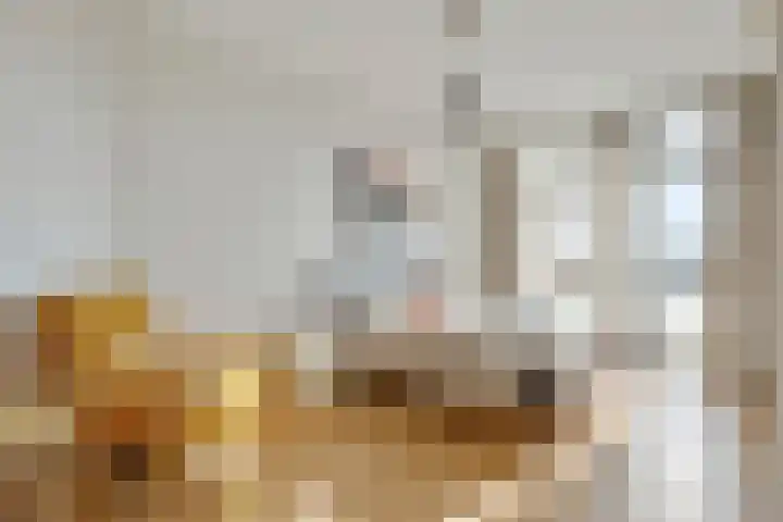 Soestdijksekade 445 Den Haag thumbnail 11