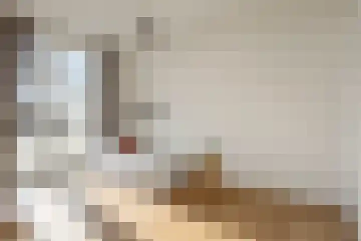 Soestdijksekade 445 Den Haag thumbnail 15
