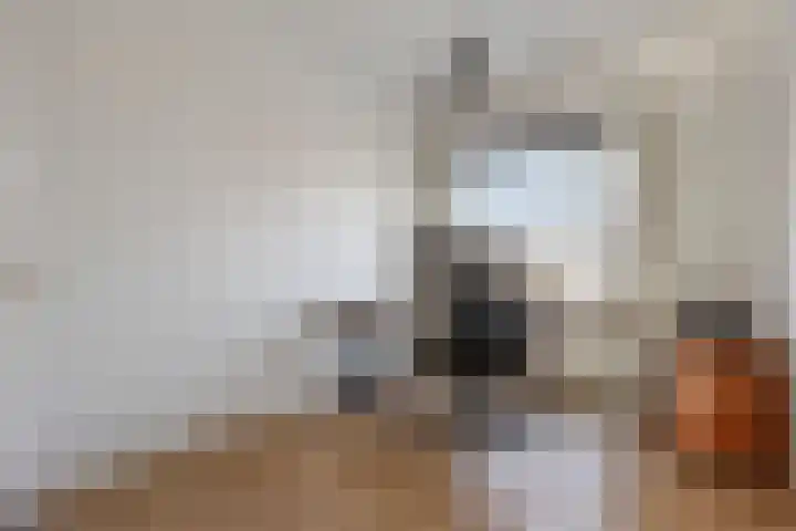 Soestdijksekade 445 Den Haag thumbnail 18