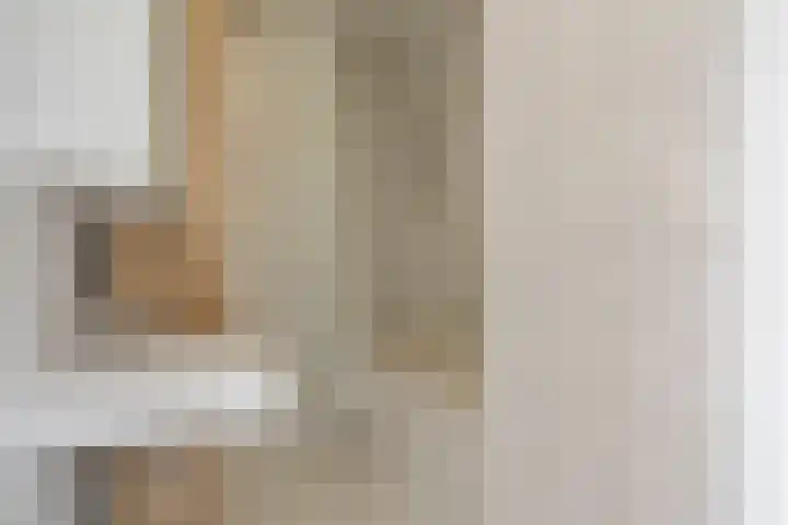 Soestdijksekade 445 Den Haag thumbnail 19