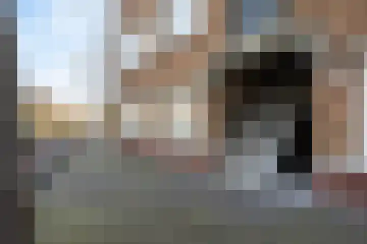 Soestdijksekade 445 Den Haag thumbnail 24