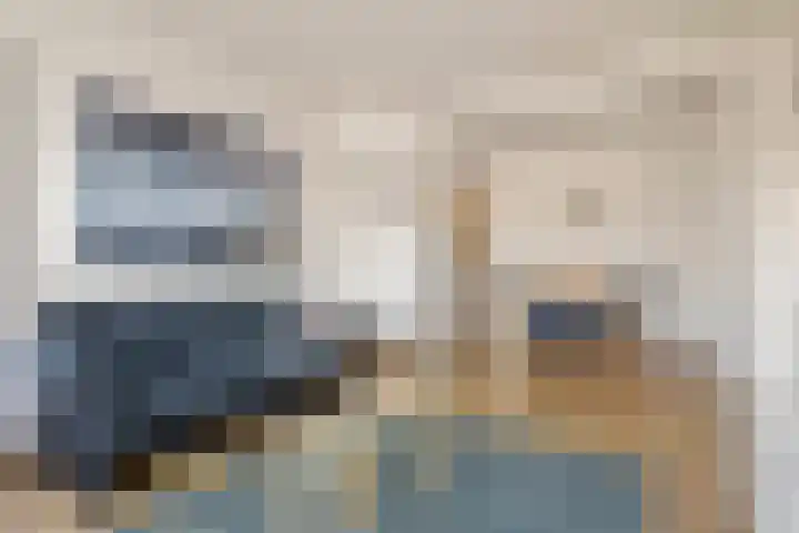 Soestdijksekade 445 Den Haag thumbnail 4
