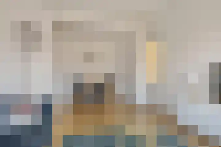 Soestdijksekade 445 Den Haag thumbnail 5