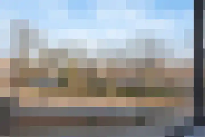 Soestdijksekade 445 Den Haag thumbnail 6