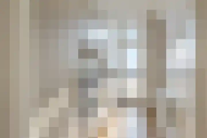 Soestdijksekade 445 Den Haag thumbnail 7