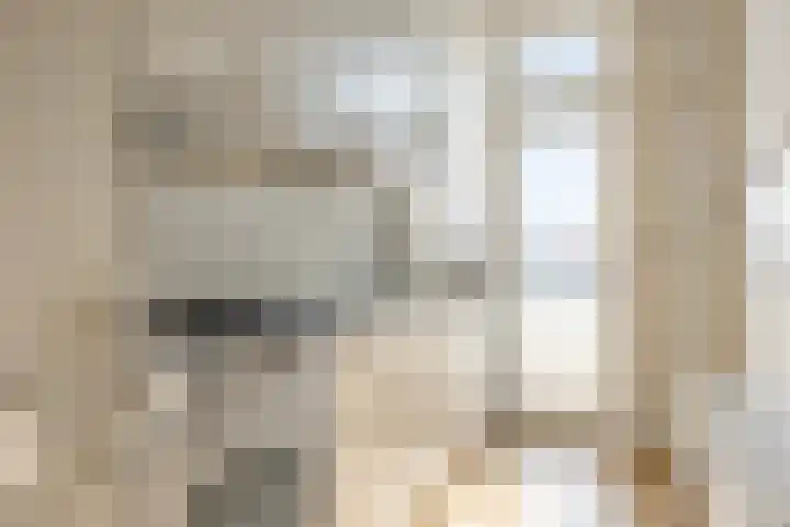 Soestdijksekade 445 Den Haag thumbnail 8