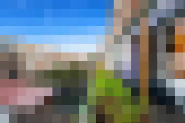 Soestdijksekade 478 Den Haag thumbnail 11