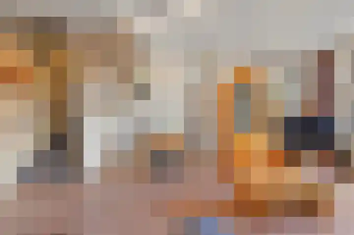 Soestdijksekade 478 Den Haag thumbnail 12
