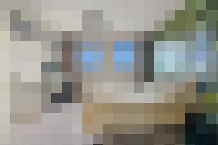 Soestdijksekade 478 Den Haag thumbnail 13