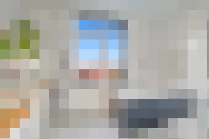 Soestdijksekade 478 Den Haag thumbnail 17