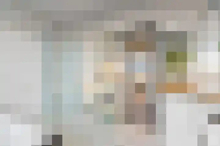 Soestdijksekade 478 Den Haag thumbnail 18