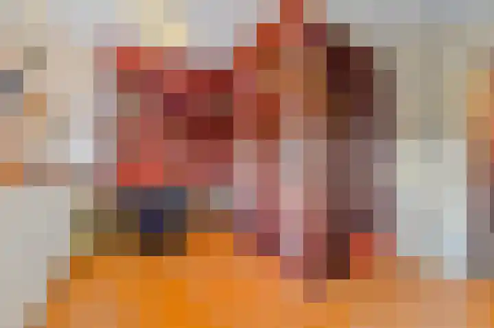 Soestdijksekade 478 Den Haag thumbnail 23