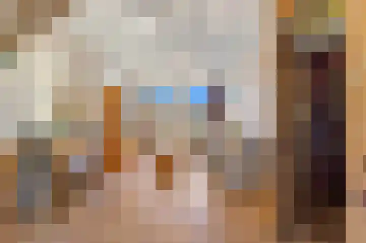 Soestdijksekade 478 Den Haag thumbnail 5