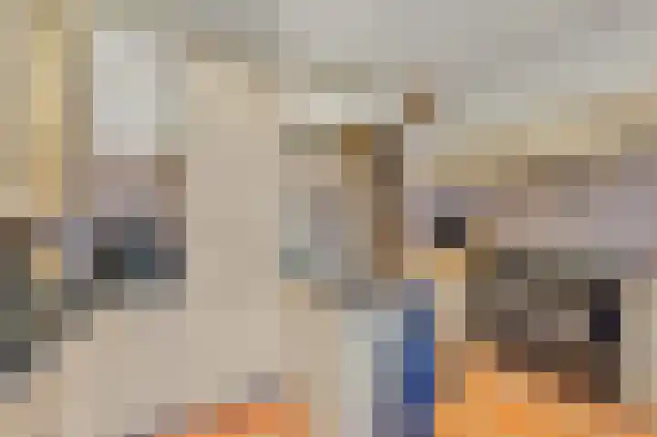 Soestdijksekade 478 Den Haag thumbnail 7