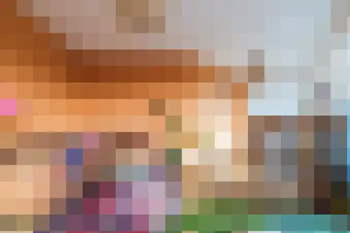 Soestdijksekade 480 Den Haag thumbnail 10
