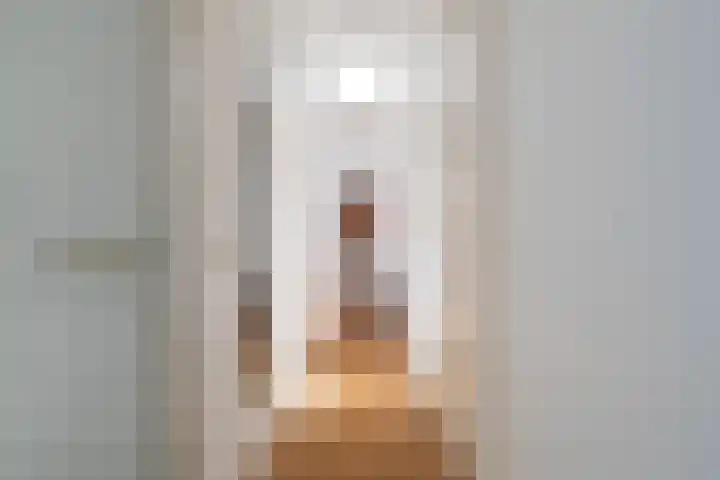 Soestdijksekade 480 Den Haag thumbnail 11
