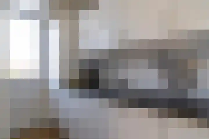 Soestdijksekade 480 Den Haag thumbnail 14
