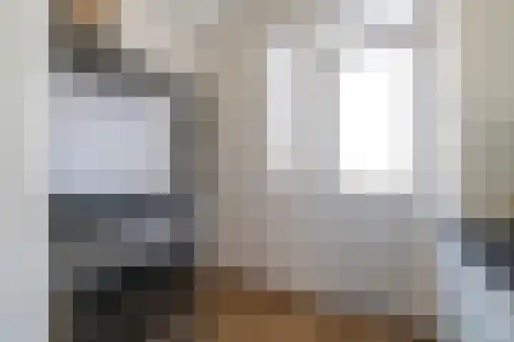 Soestdijksekade 480 Den Haag thumbnail 15
