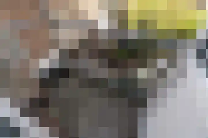 Soestdijksekade 480 Den Haag thumbnail 16