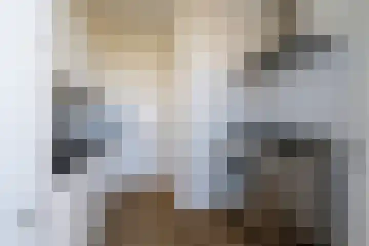 Soestdijksekade 480 Den Haag thumbnail 19