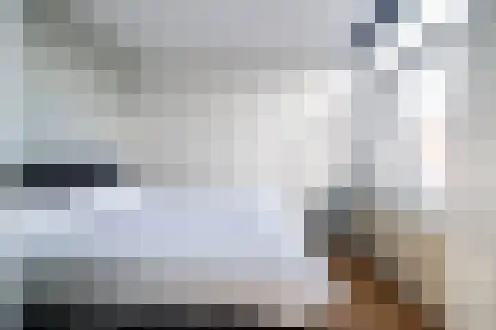 Soestdijksekade 480 Den Haag thumbnail 21