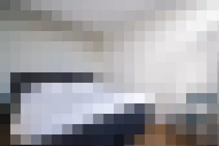 Soestdijksekade 480 Den Haag thumbnail 22