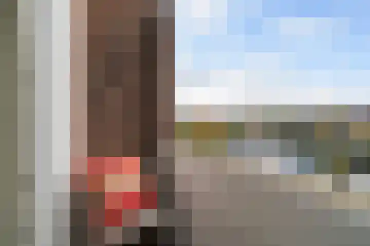 Soestdijksekade 480 Den Haag thumbnail 25