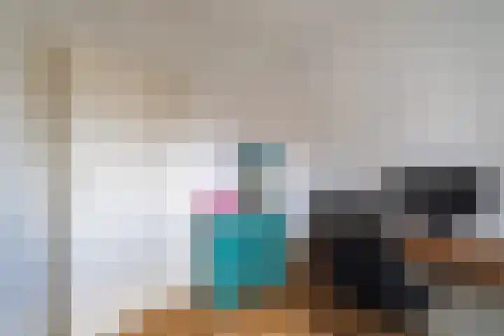 Soestdijksekade 480 Den Haag thumbnail 29
