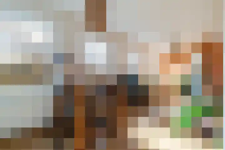 Soestdijksekade 480 Den Haag thumbnail 4