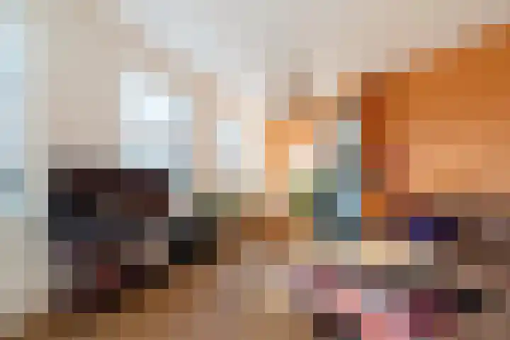 Soestdijksekade 480 Den Haag thumbnail 5