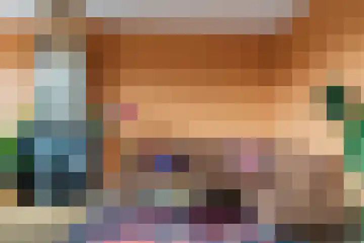 Soestdijksekade 480 Den Haag thumbnail 7