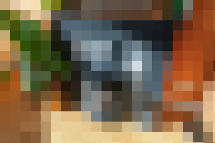 Soestdijksekade 480 Den Haag thumbnail 8