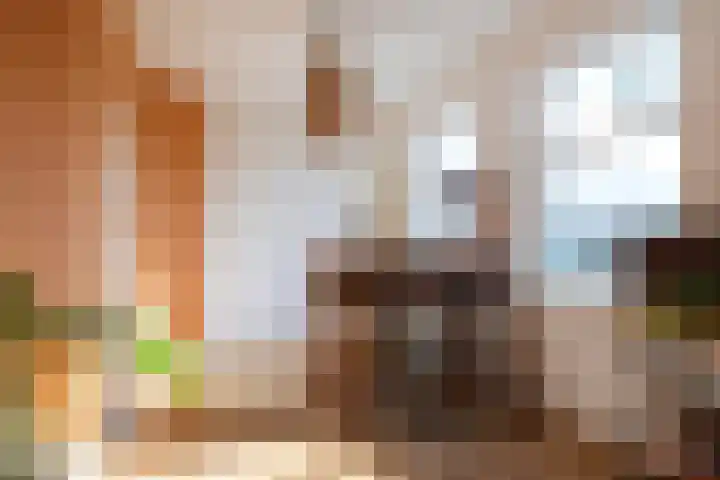 Soestdijksekade 480 Den Haag thumbnail 9