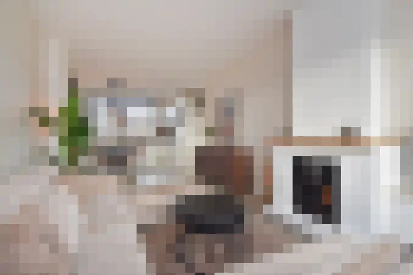 Soestdijksekade 496 Den Haag thumbnail 11
