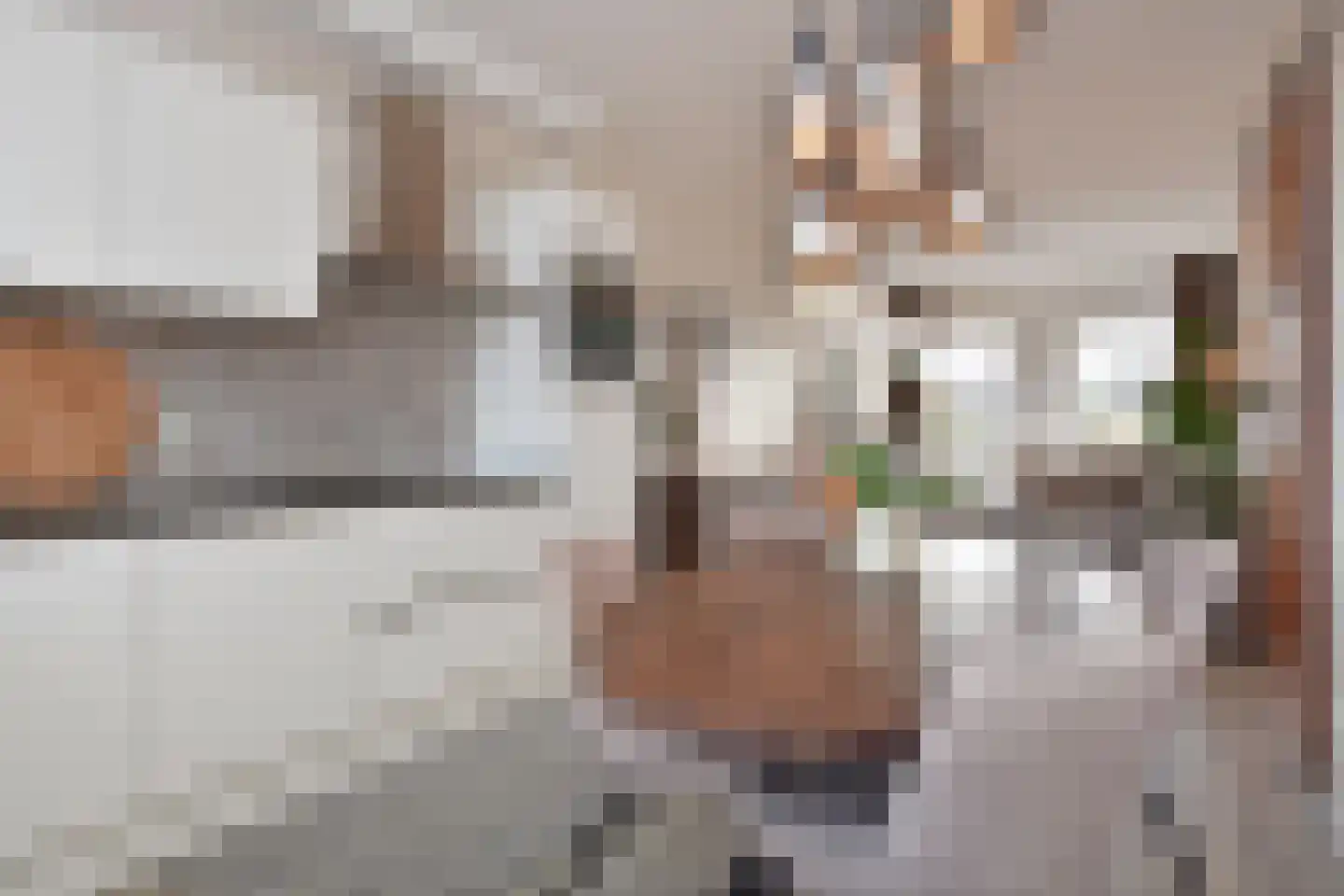 Soestdijksekade 496 Den Haag thumbnail 15