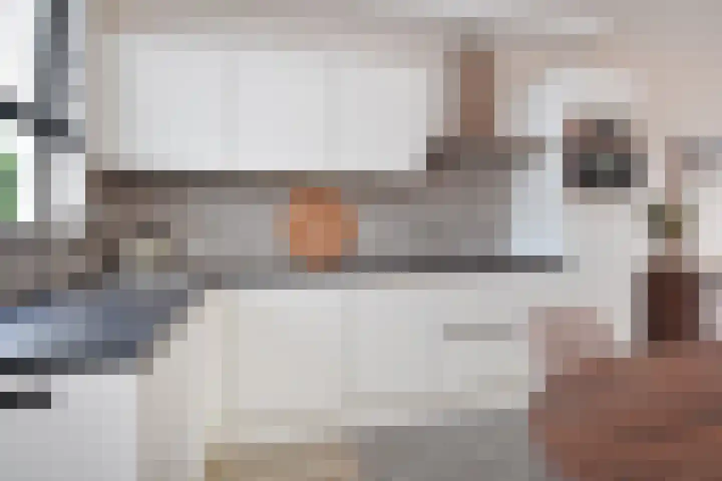 Soestdijksekade 496 Den Haag thumbnail 17