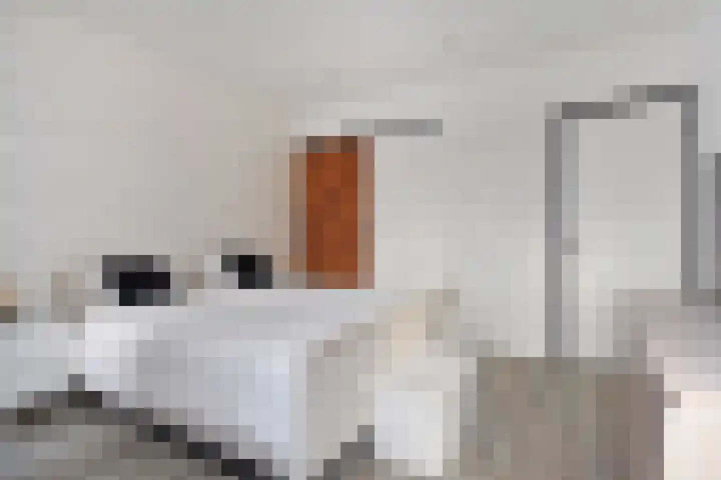 Soestdijksekade 496 Den Haag thumbnail 24