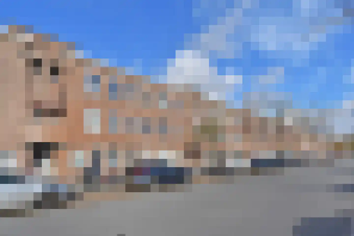 Soestdijksekade 496 Den Haag thumbnail 4