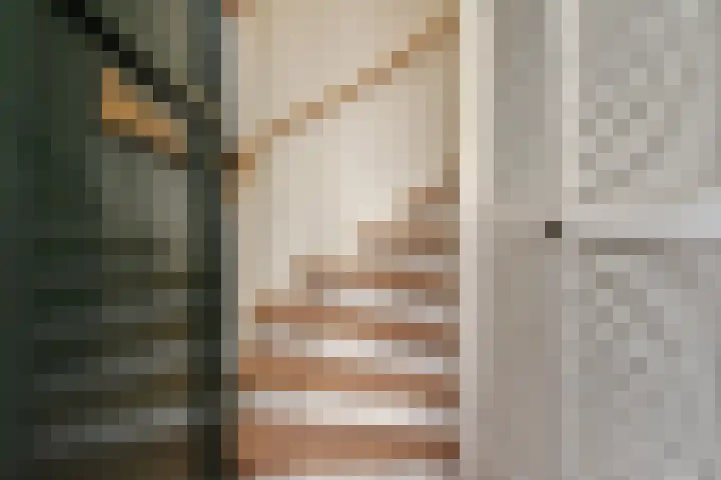 Soestdijksekade 496 Den Haag thumbnail 5