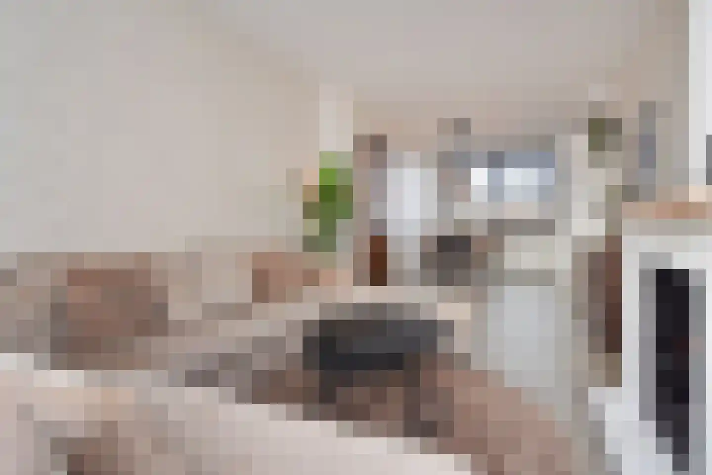 Soestdijksekade 496 Den Haag thumbnail 9