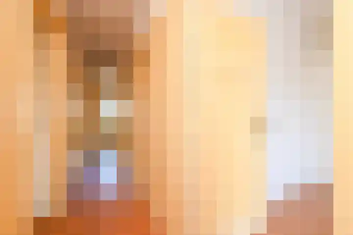 Soestdijksekade 499 Den Haag thumbnail 12