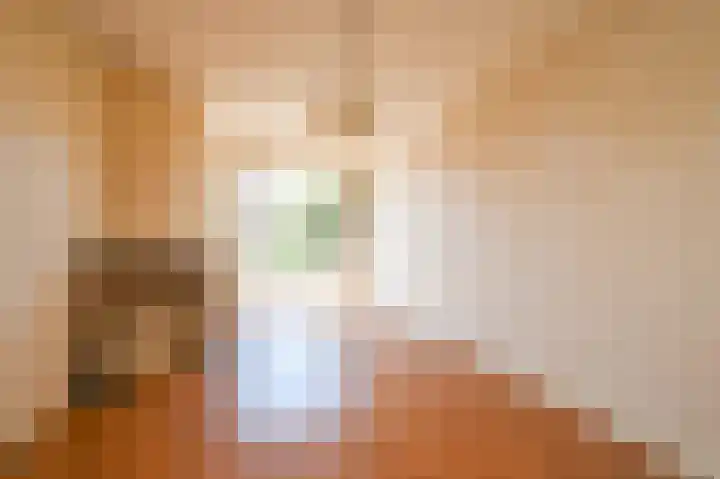 Soestdijksekade 499 Den Haag thumbnail 18