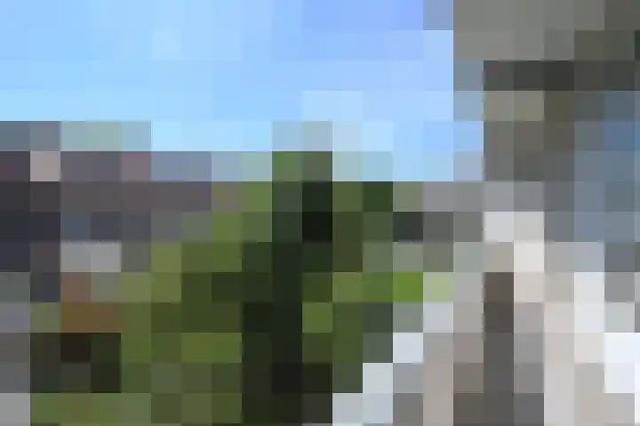 Soestdijksekade 499 Den Haag thumbnail 20
