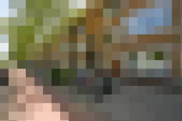 Soestdijksekade 499 Den Haag thumbnail 6