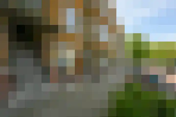 Soestdijksekade 499 Den Haag thumbnail 7