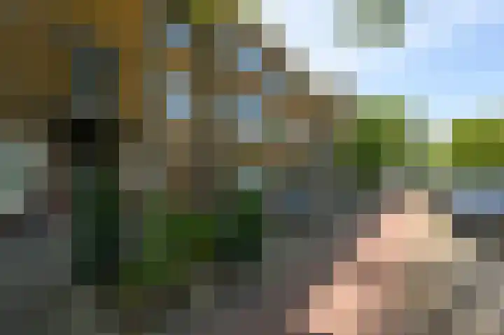 Soestdijksekade 499 Den Haag thumbnail 8